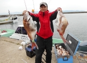 写真集11