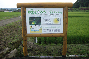 蛍を育てよう