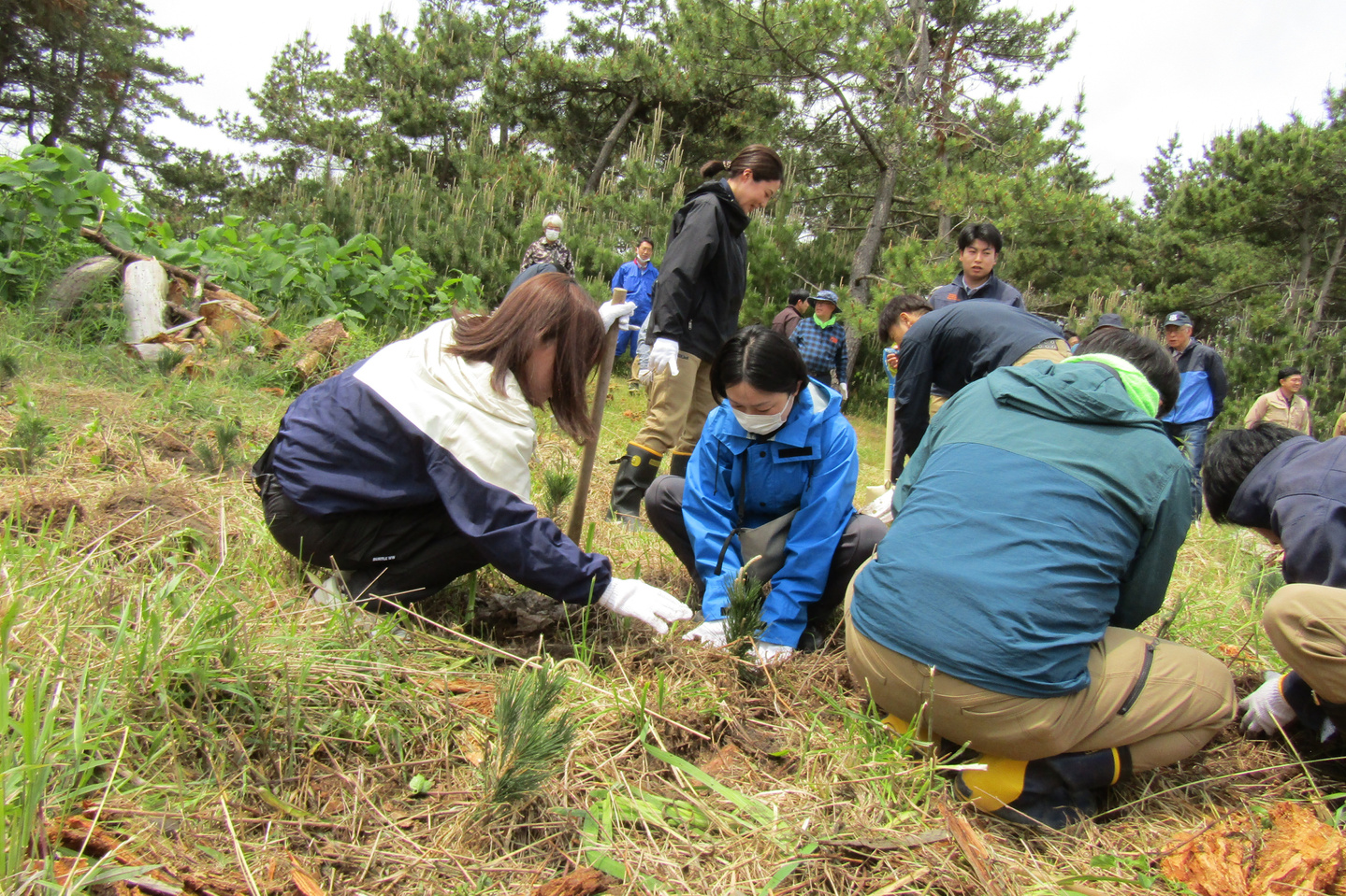 植樹の穴掘り作業