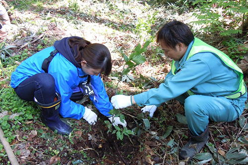 植樹作業
