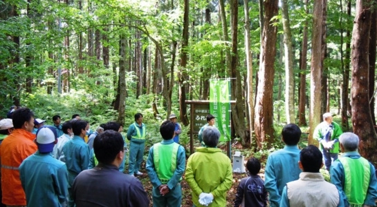 dscn5117.jpg