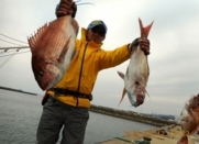 写真集12