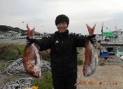 写真集8